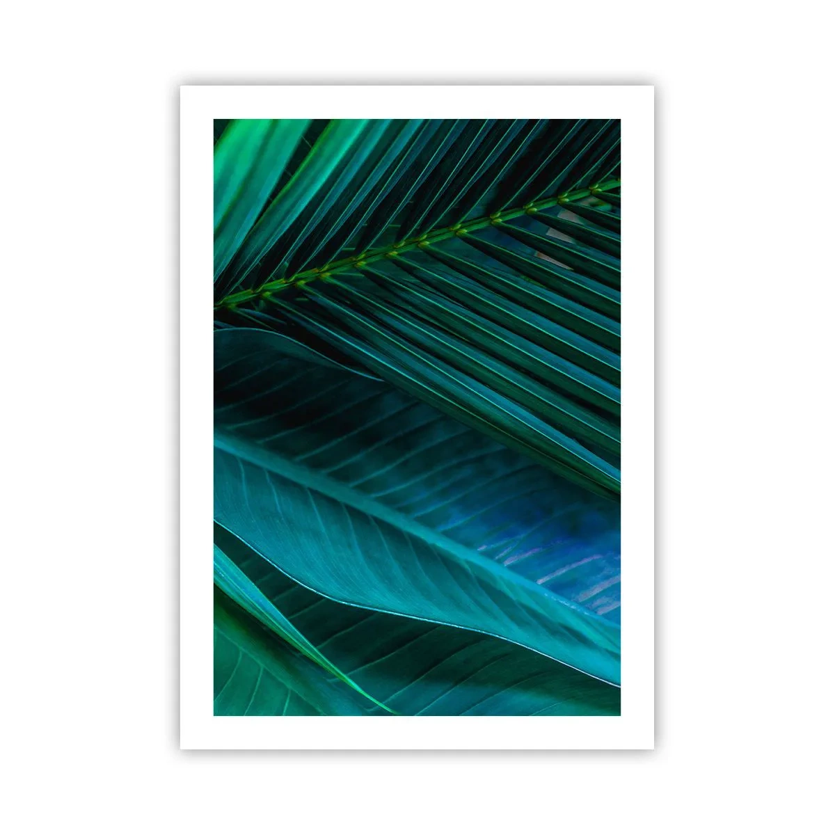 Poster - Anatomy of Green - 50x70 cm