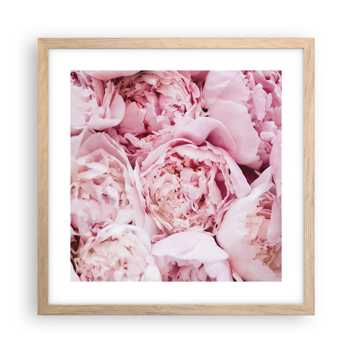 Poster in light oak frame - Cuddly and Fragrant - 40x40 cm