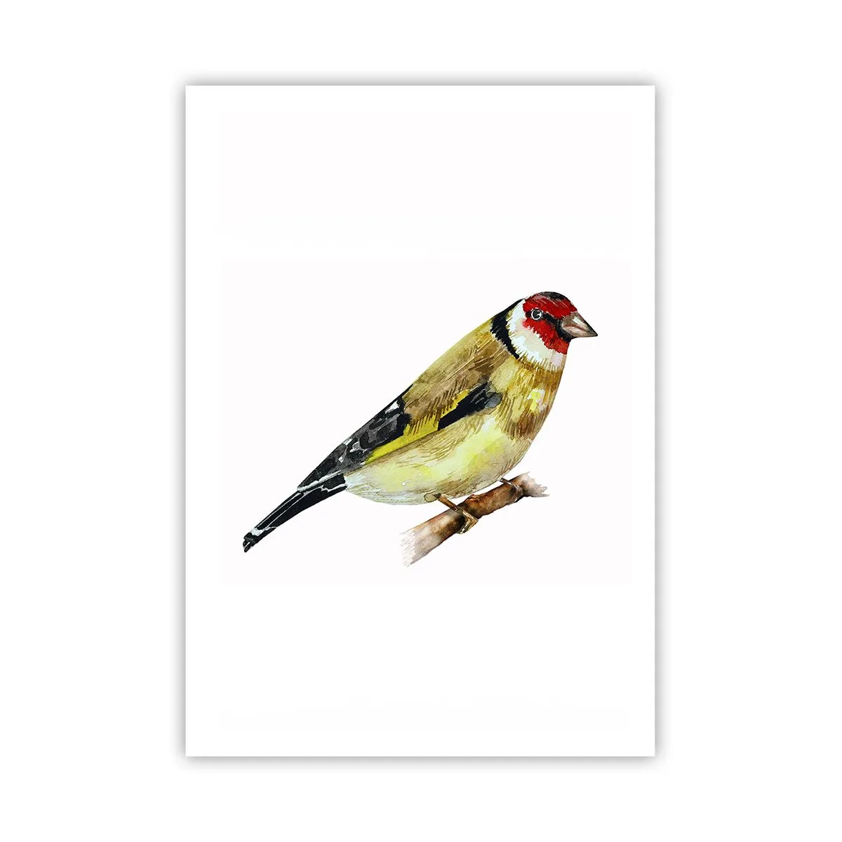 Poster - Bird Portrait - 70x100 cm
