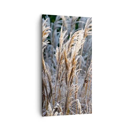 Canvas picture - Decorated with Frost - 55x100 cm