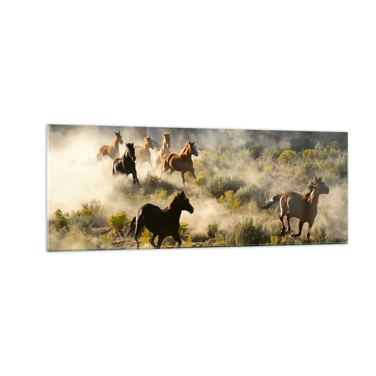 Glass picture - Rivalry - Freedom or Man Power? - 140x50 cm