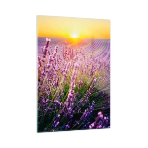 Glass picture - Fragrant Field - 50x70 cm