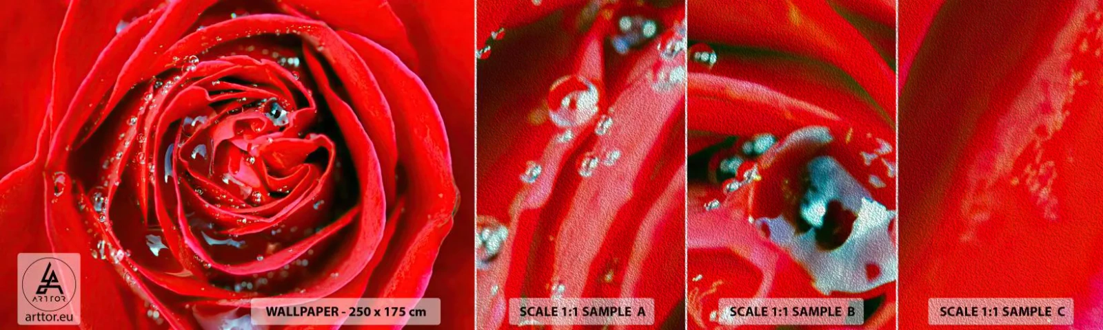 Photo Wallpaper Sample Premium Sand - In Dew Drops - Flowers, Red Rose, Love - 100x30 cm