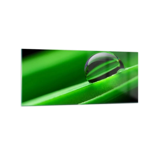 Glass picture - Life from a Close-Up - 120x50 cm