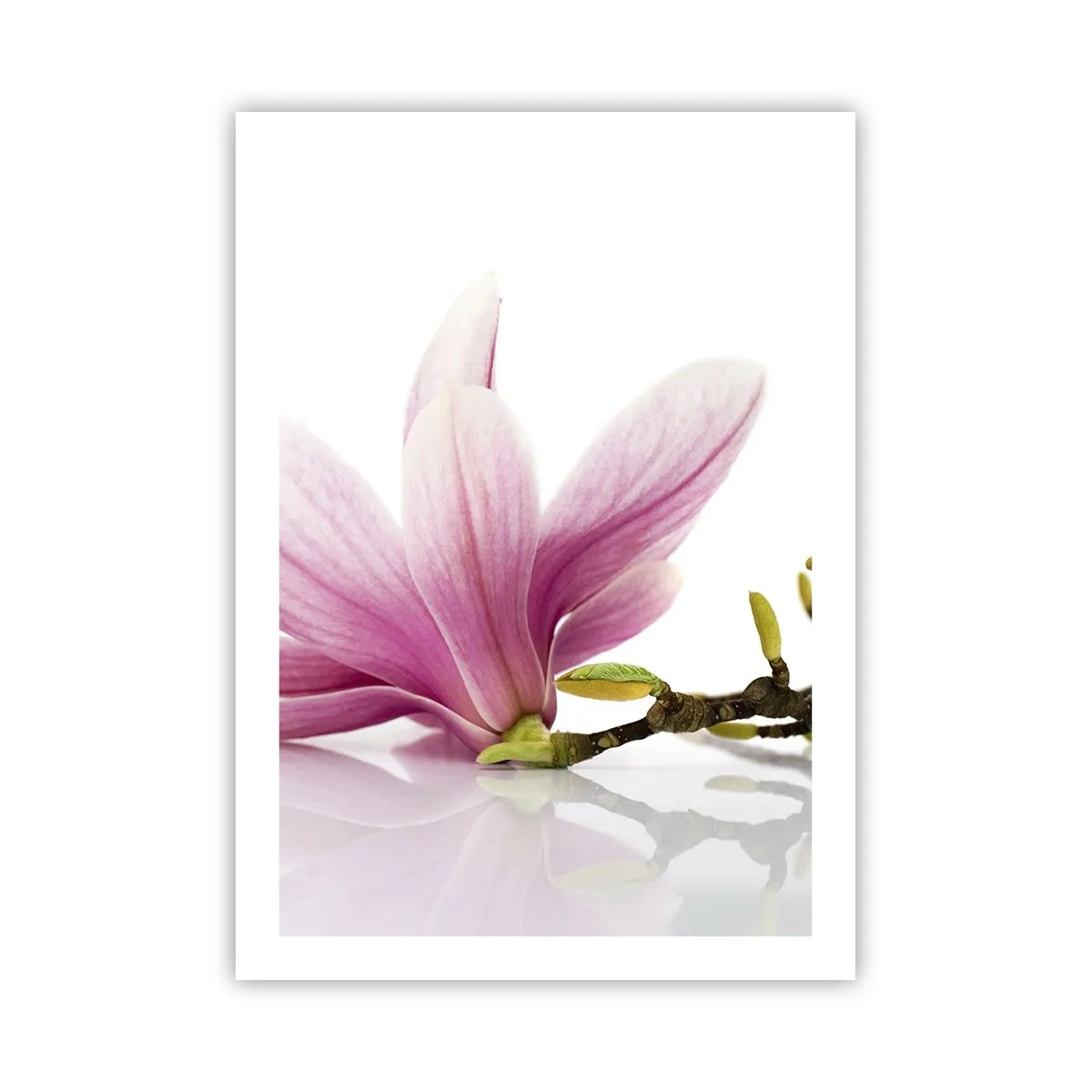 Poster - Delicate Like a Spring Breeze - 50x70 cm
