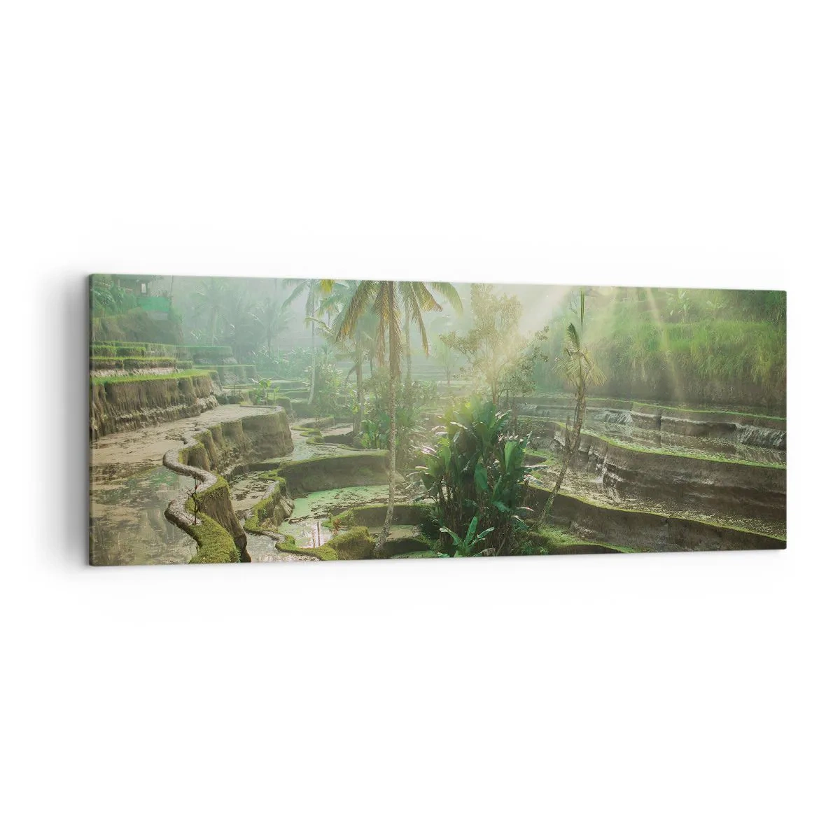 Canvas picture - Maturing in the Sun - 140x50 cm