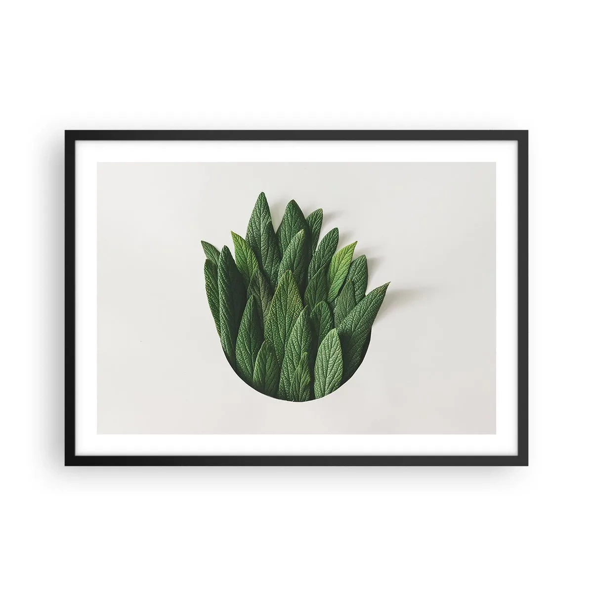 Poster in black frame - Untamed Curiosity - 70x50 cm