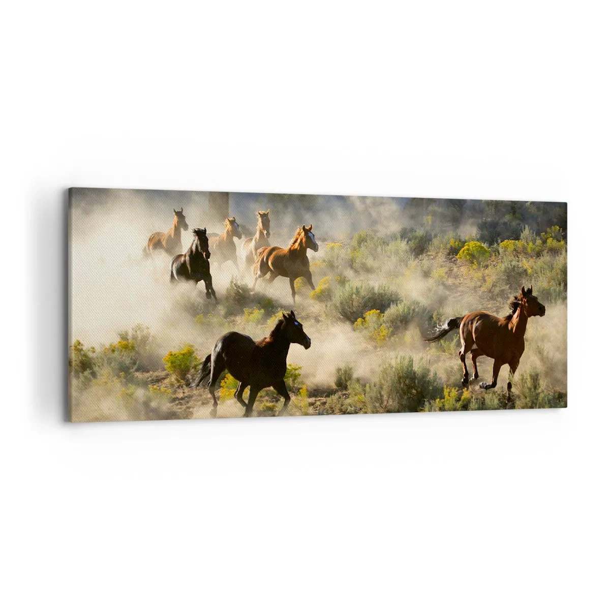 Canvas picture - Rivalry - Freedom or Man Power? - 120x50 cm