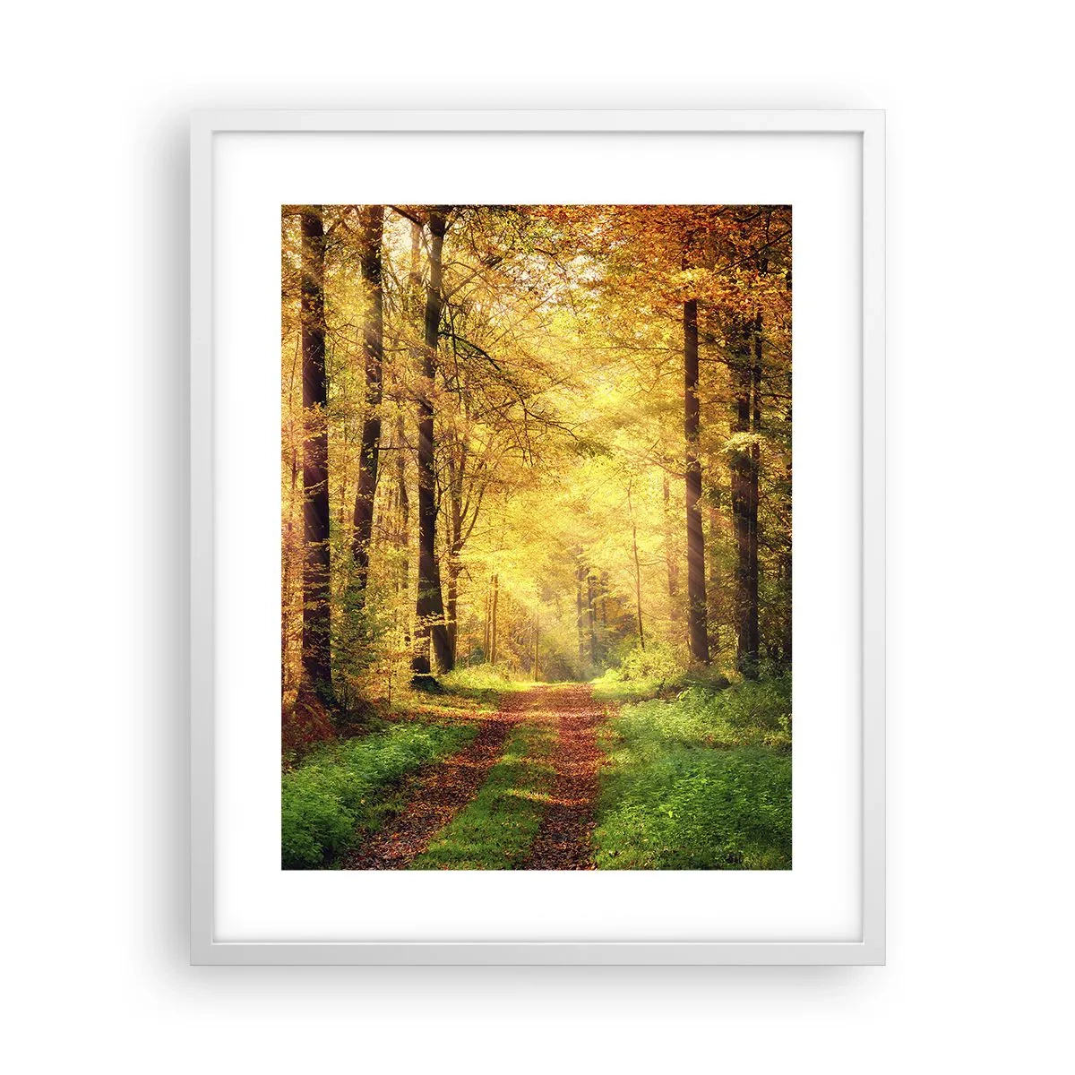 Poster in white frmae - Forest Golden silence - 40x50 cm