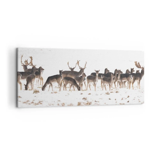 Canvas picture - Is it Christmas Already? - 120x50 cm
