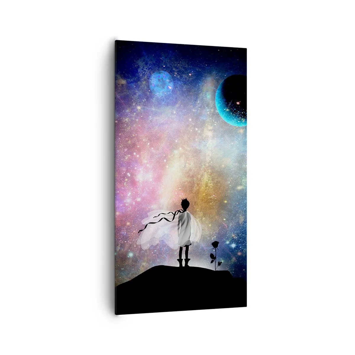 Canvas picture - Little Prince - 65x120 cm
