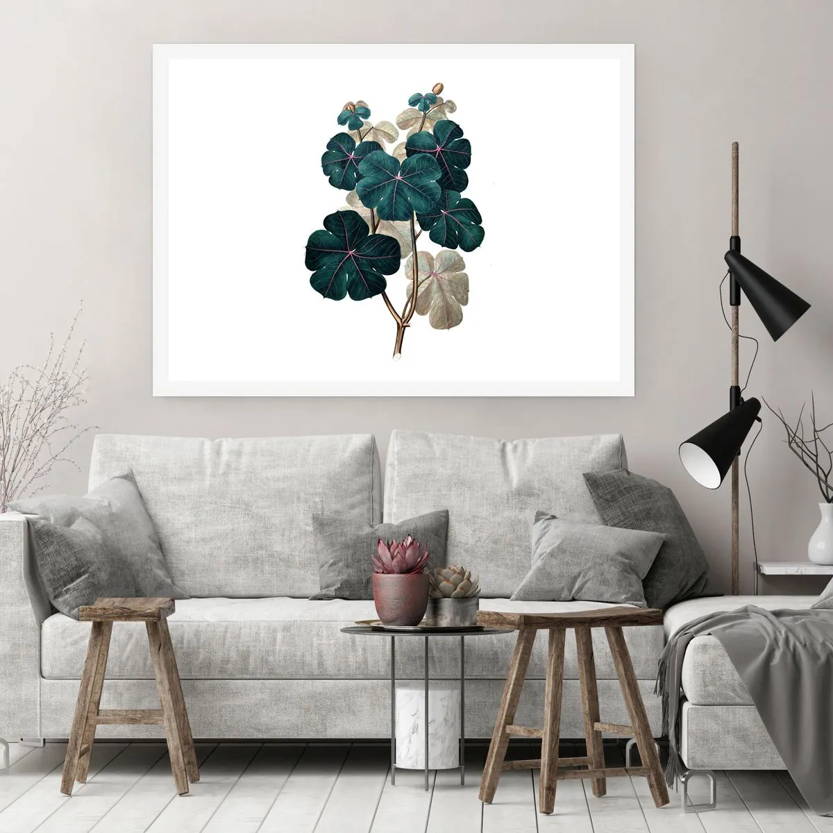 Poster - From the Old Herbarium - 50x40 cm