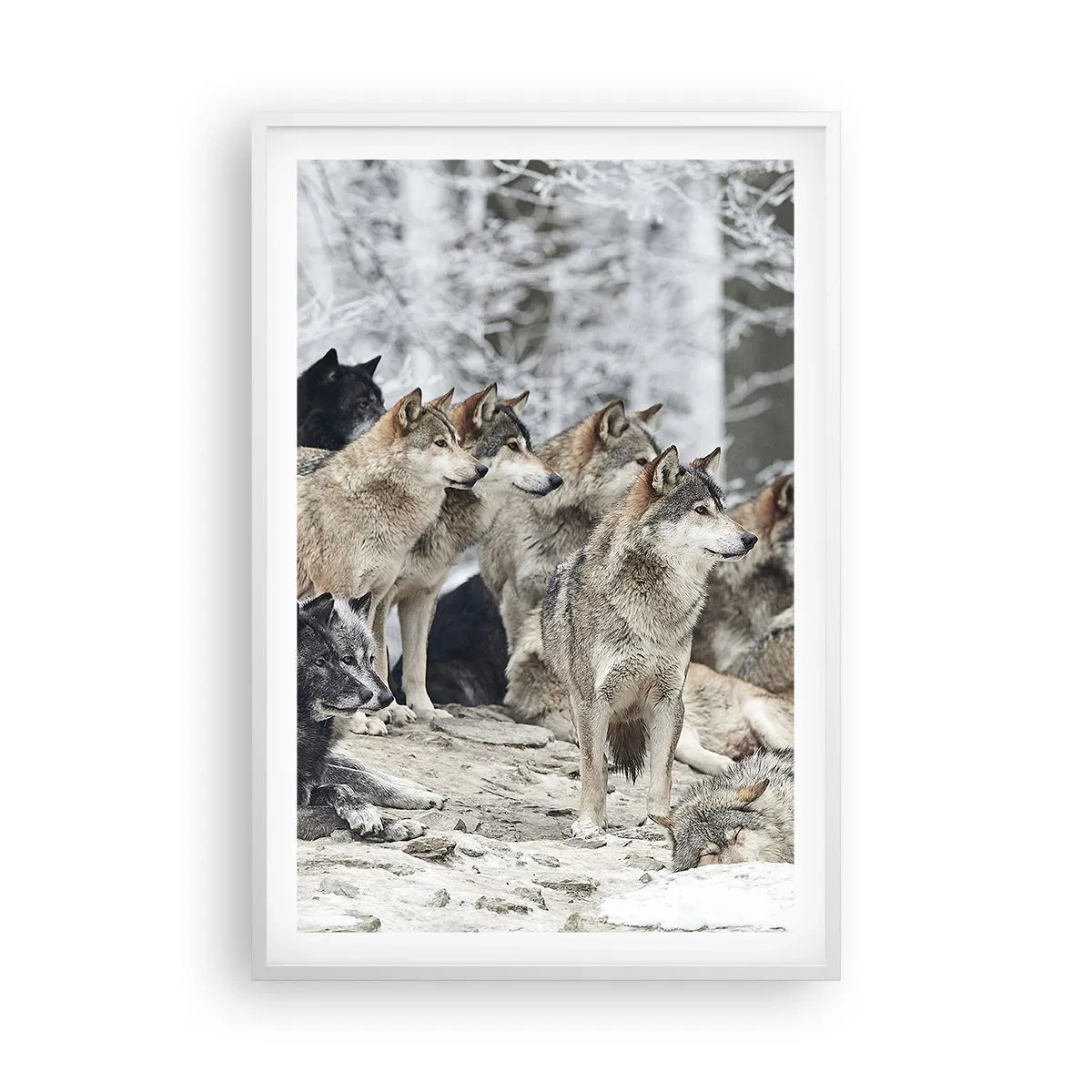 Poster in white frmae - Family and Friends - 61x91 cm