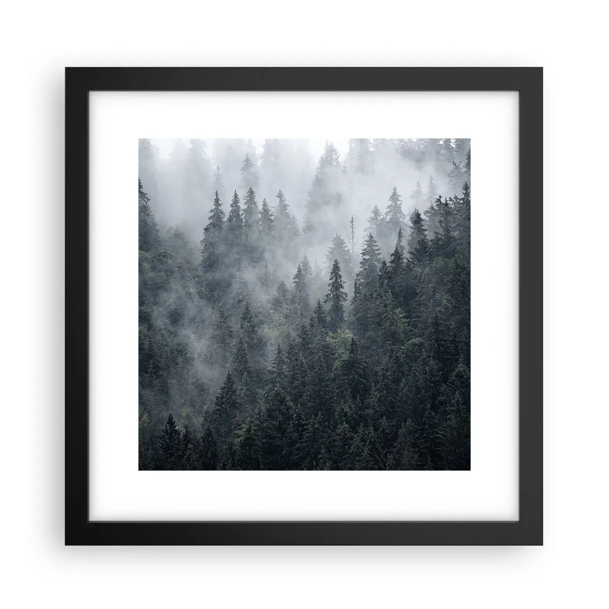 Poster in black frame - Forest World - 30x30 cm