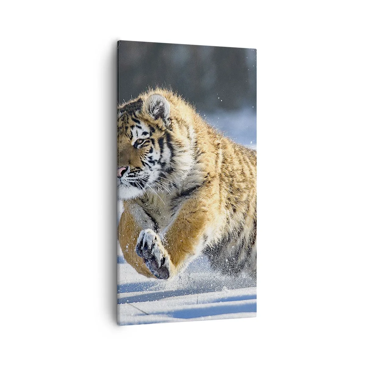 Canvas picture - God of Siberian Taiga - 55x100 cm