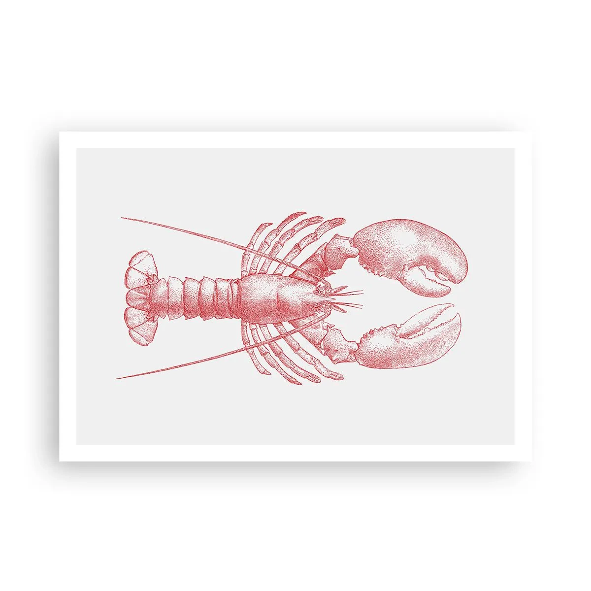 Poster - Lobster Worthy of a Lobster - 100x70 cm
