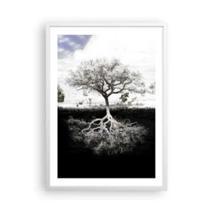 Poster in white frmae - Discovery of the Nature of the World - 50x70 cm