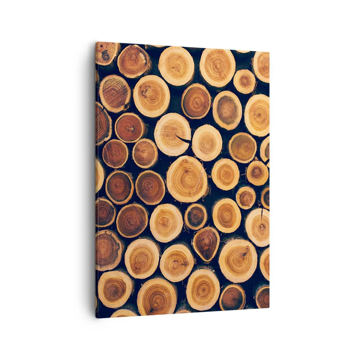 Canvas picture - How Much Do You Give Me? - 50x70 cm