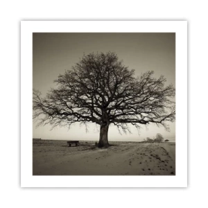 Poster - From Here to Eternity - 50x50 cm