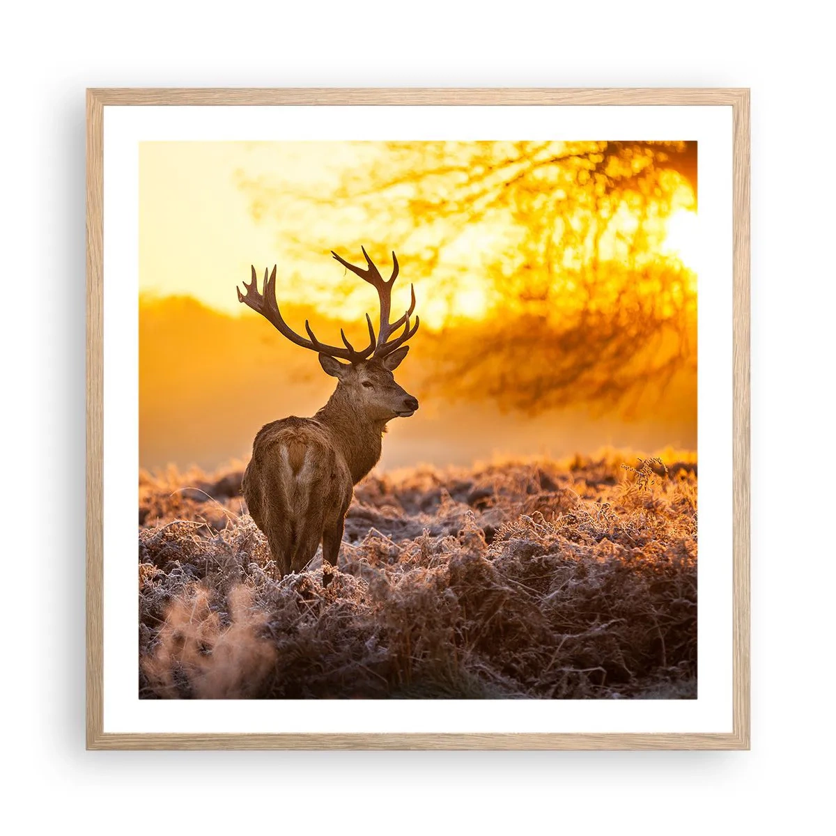 Poster in light oak frame - King of Autumnal Forest - 60x60 cm