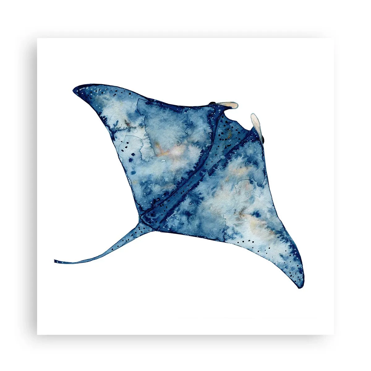 Poster - Life In Blue - 60x60 cm
