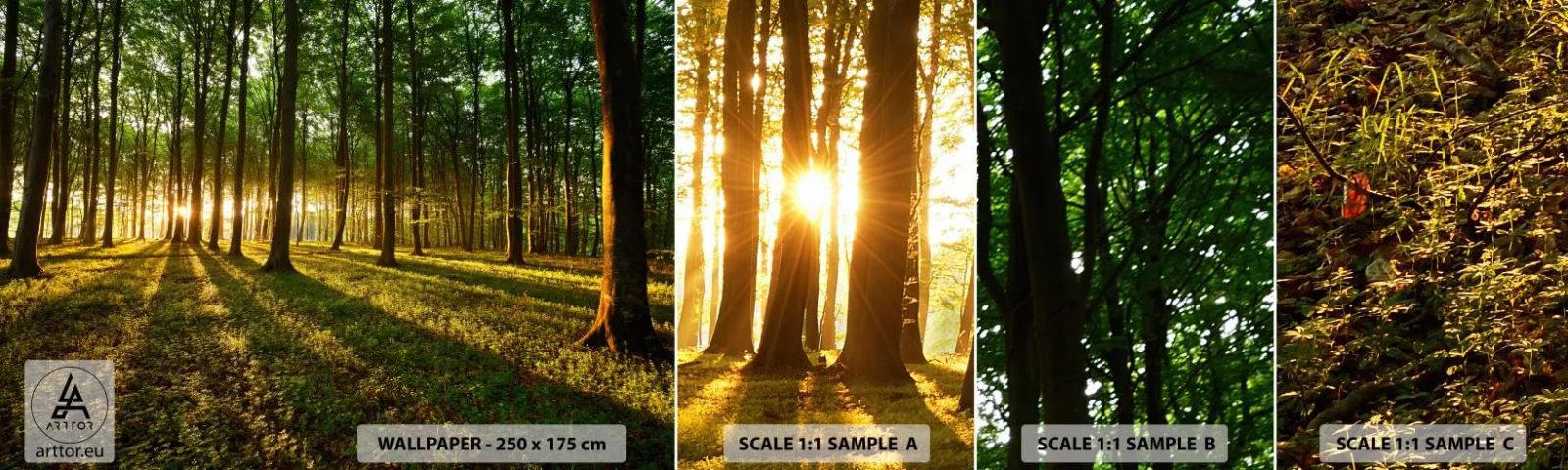 Photo Wallpaper Sample Self-Adhesive Deluxe Sticker - Photography of All Springs - Landscape, Forest, Nature - 100x30 cm
