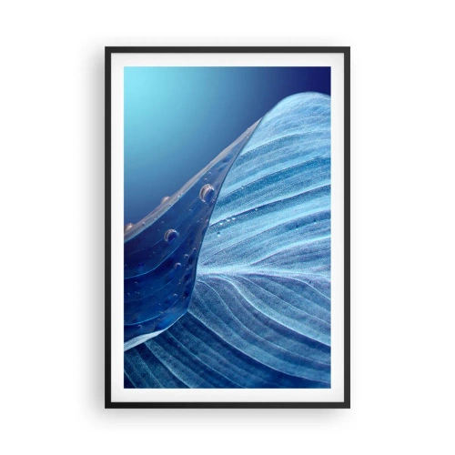 Poster in black frame - Hidden Drops of Blue - 61x91 cm