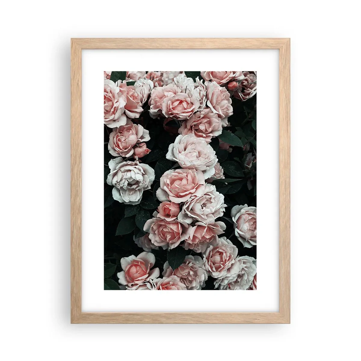 Poster in light oak frame - Rose Ensemble - 30x40 cm