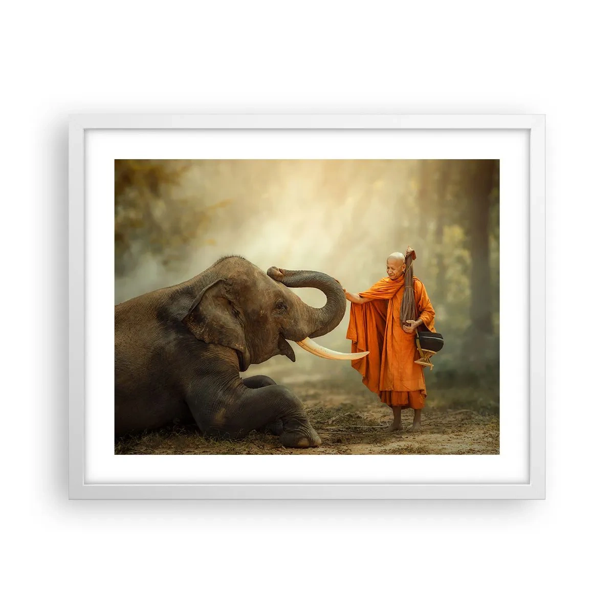 Poster in white frmae - Unexpected Meeting - 50x40 cm