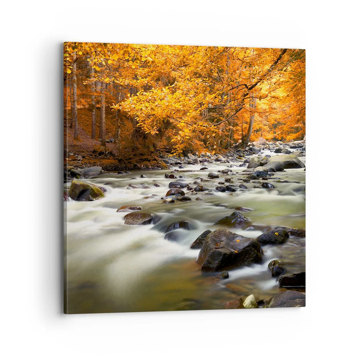Canvas picture - Brook in a Golden Forest - 70x70 cm