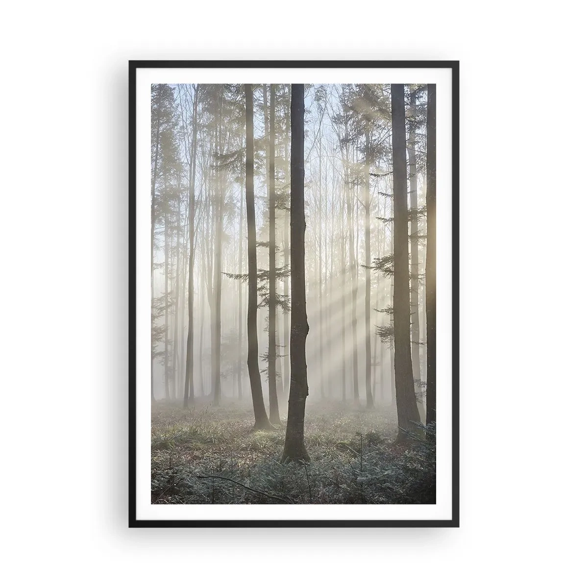 Poster in black frame - Fog Has Woken up Too - 70x100 cm