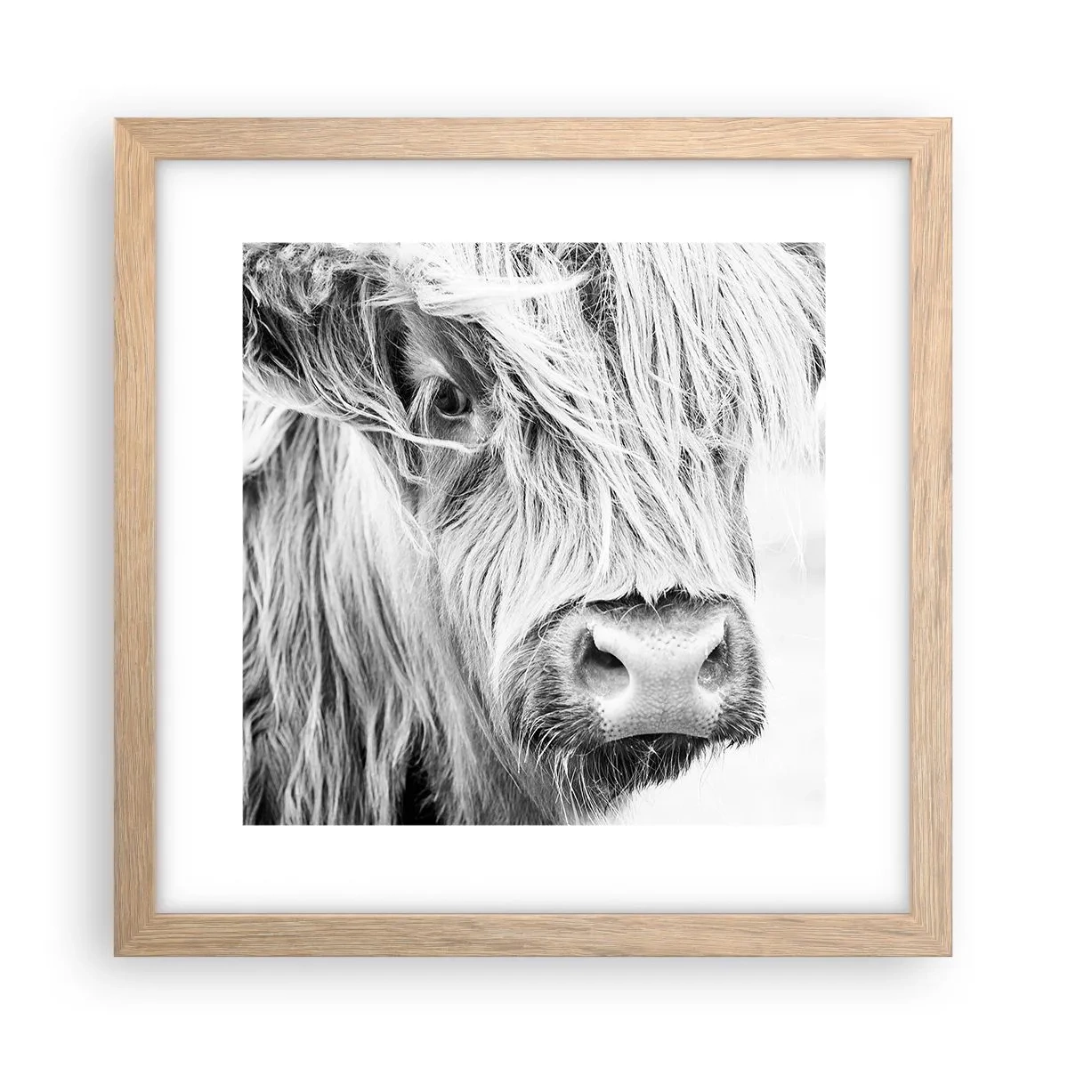 Poster in light oak frame - Scottish Wilderness - 30x30 cm