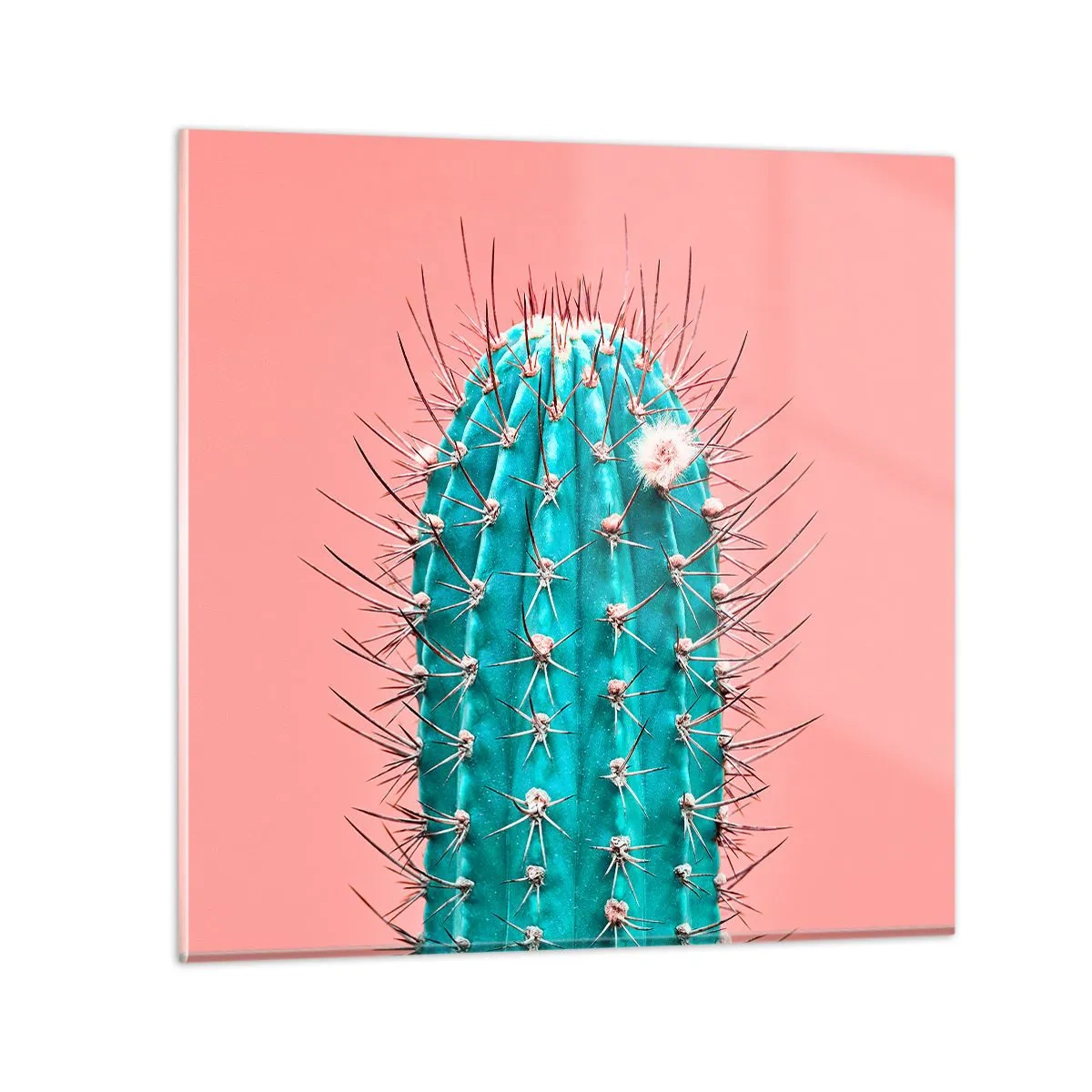 Glass picture - Just Look - 50x50 cm