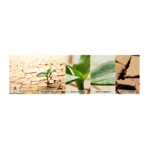 Photo Wallpaper Sample Premium Sand - Untamed Life Force - Nature, Plant, Drought - 100x30 cm
