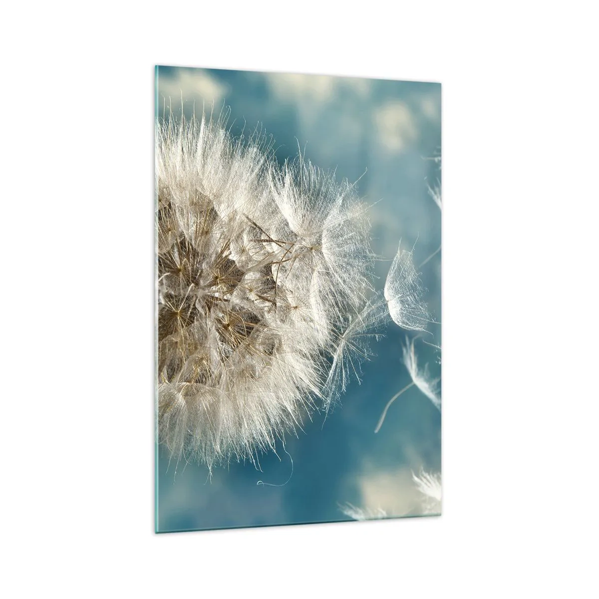 Glass picture - Breath of an Angel - 70x100 cm