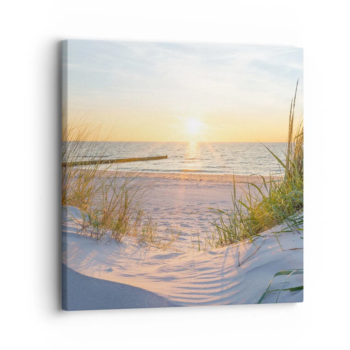 Canvas picture - Sound of the Sea, Singing of the Birds, Wild Beach among Grass - 30x30 cm