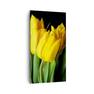 Canvas picture - Born from the Sun - 55x100 cm