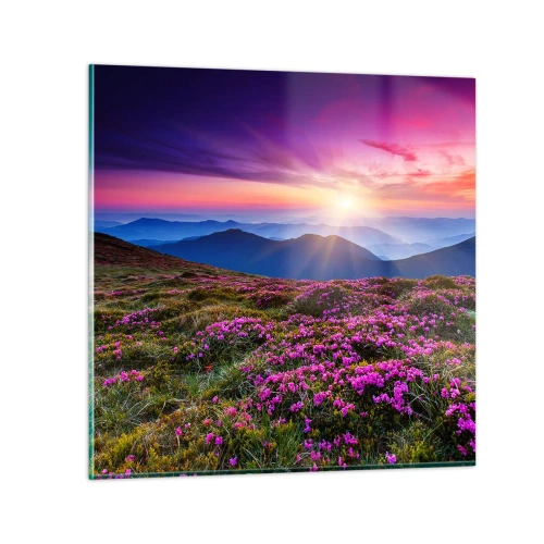 Glass picture - Smells Strongly of Herbs - 60x60 cm