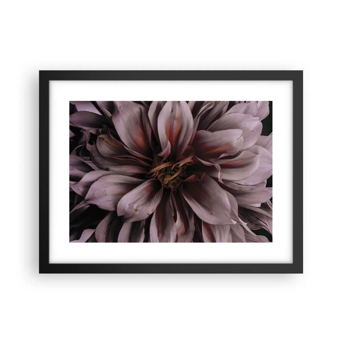 Poster in black frame - Flowery Heart - 40x30 cm
