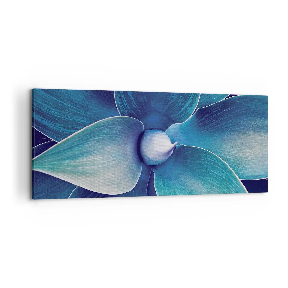 Canvas picture - Blue from the Sky - 120x50 cm