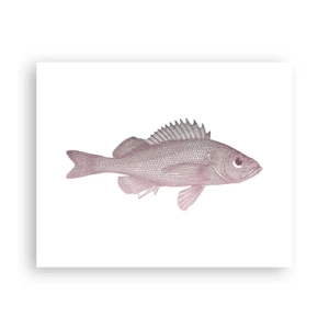 Poster - Big-eyed Fish - 50x40 cm