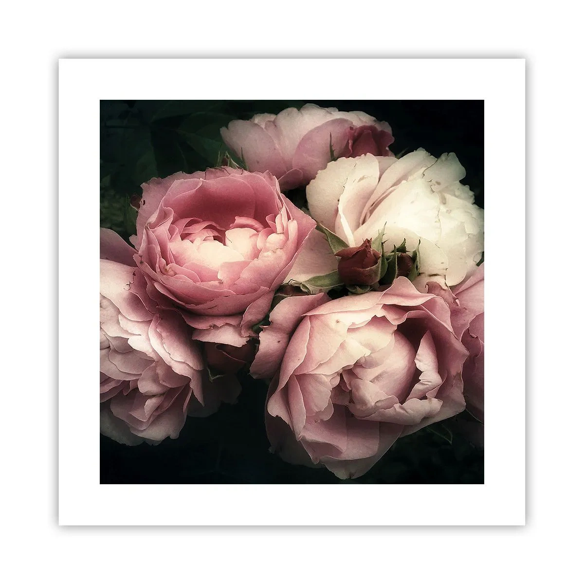 Poster - Belle Epoque Charm - 40x40 cm