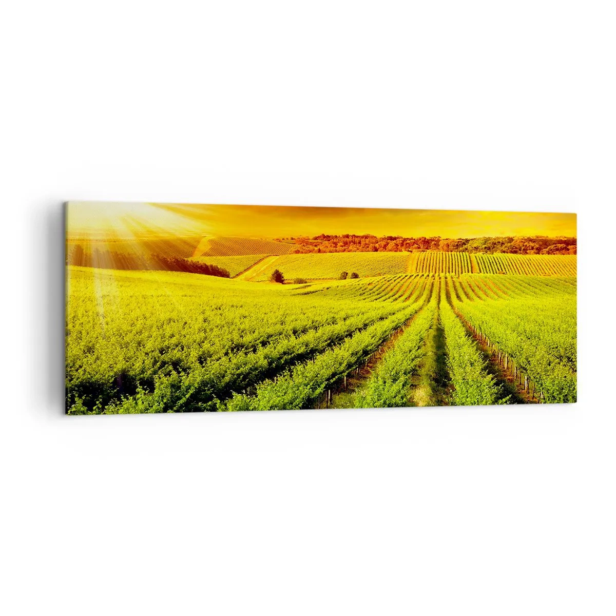Canvas picture - Under Australian Sun - 140x50 cm