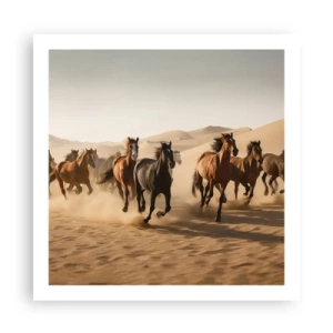 Poster - Free as a Wind - 60x60 cm