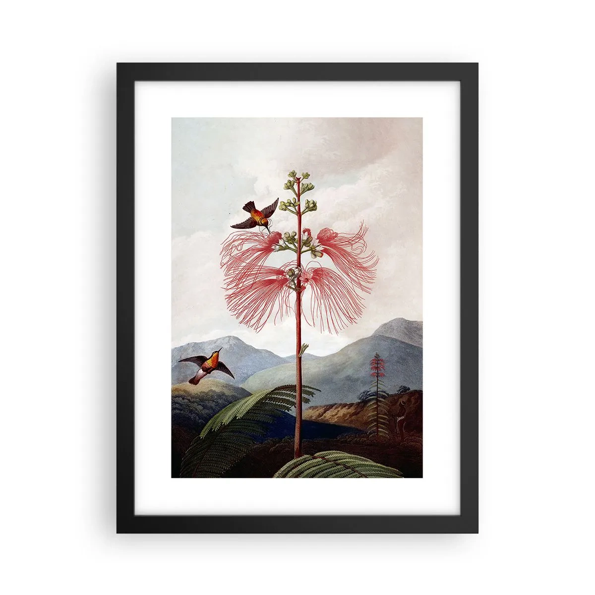 Poster in black frame - In a Tropical Paradise - 30x40 cm
