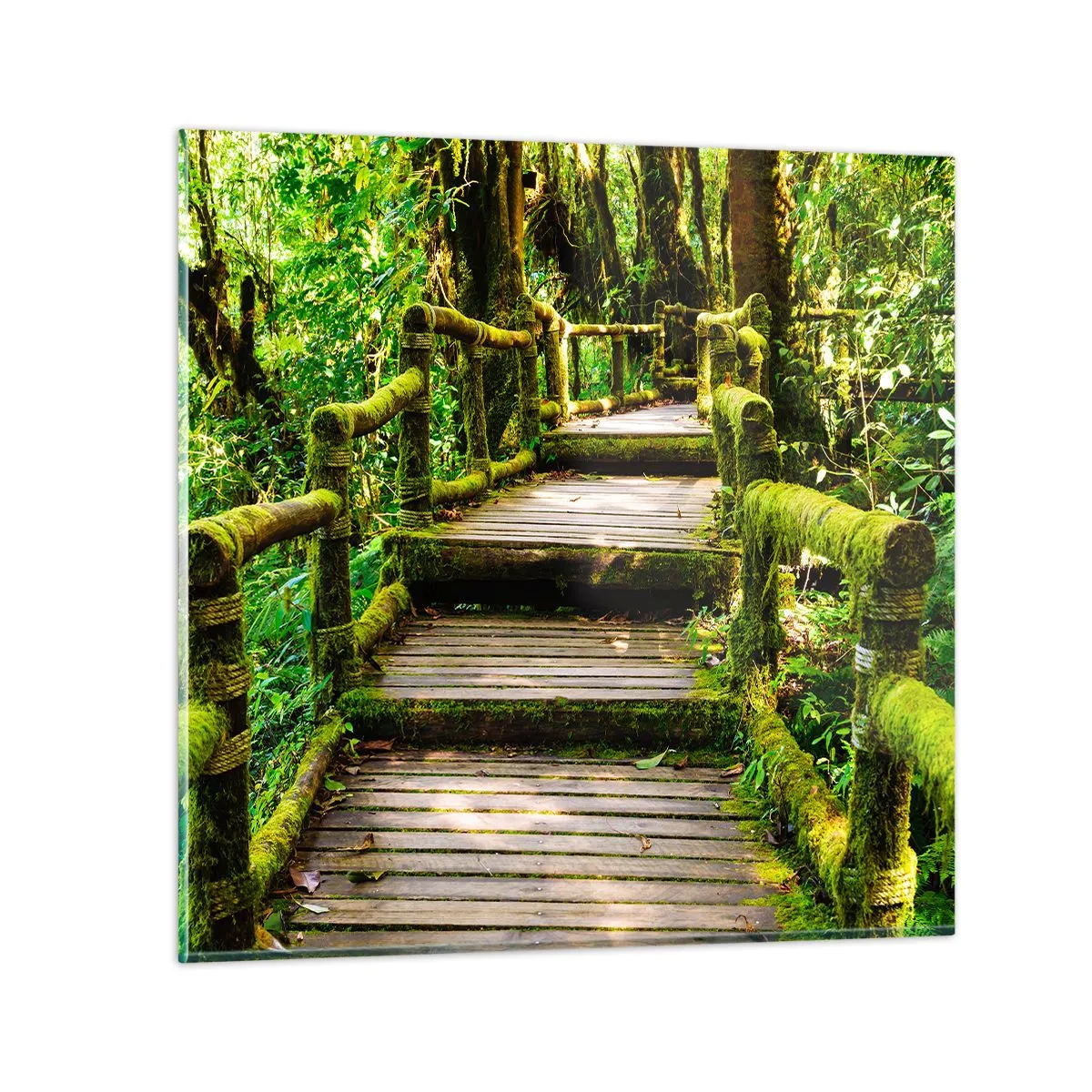 Glass picture - Down the Green Path - 50x50 cm