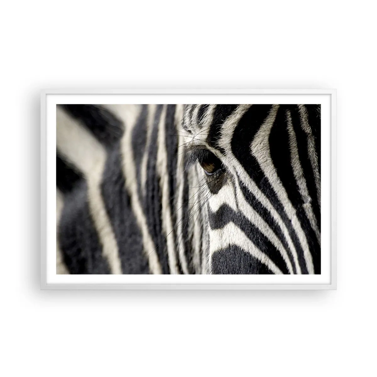 Poster in white frmae - Striped Portrait - 91x61 cm