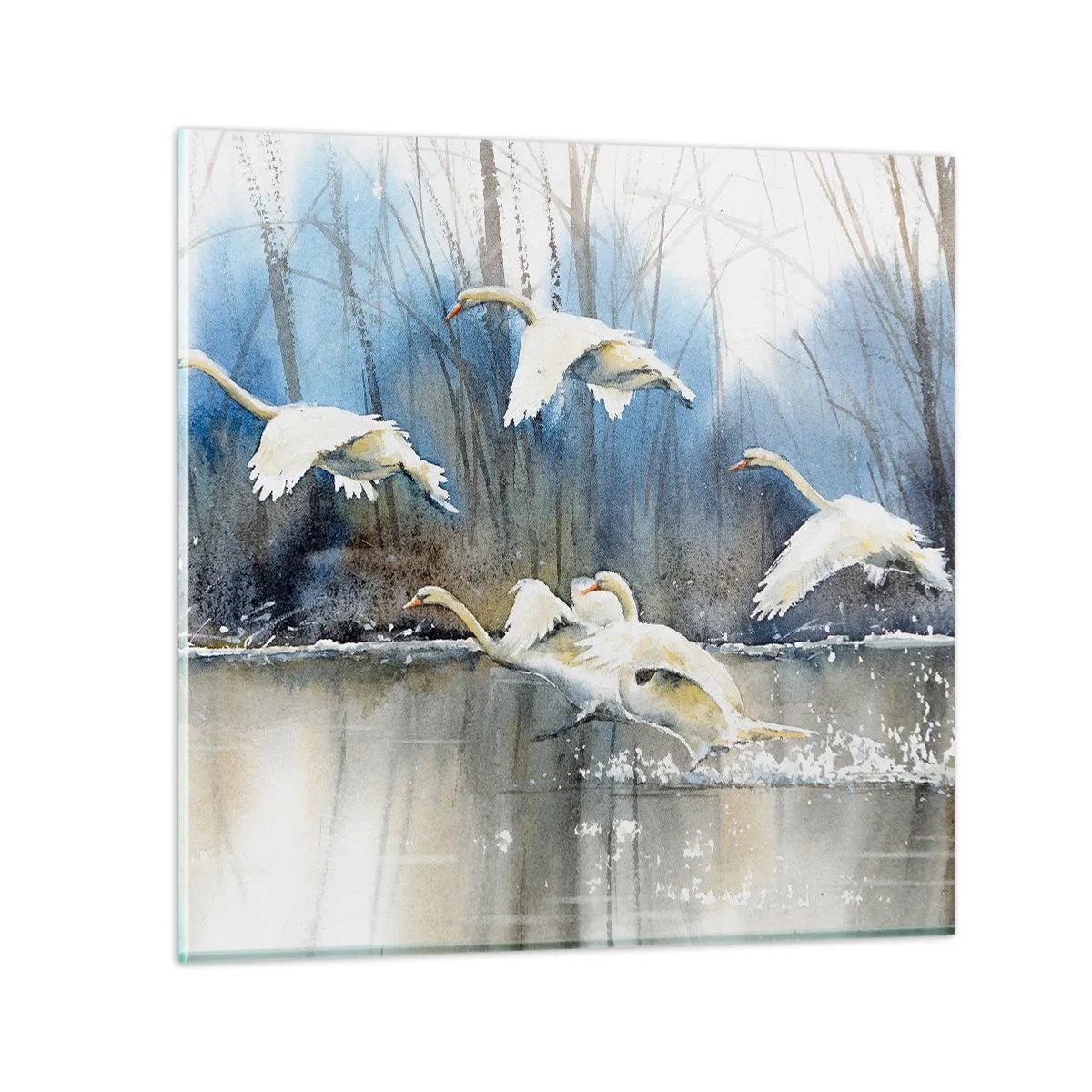 Glass picture - Like in a Fairy Tale about Wild Swans - 50x50 cm