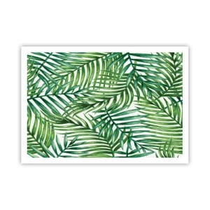 Poster - Under the Green Canopy - 100x70 cm