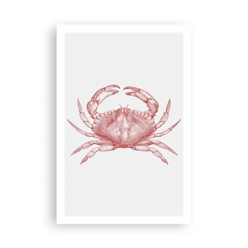 Poster - Crab Like No Other - 61x91 cm